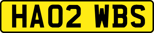 HA02WBS