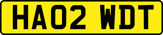 HA02WDT