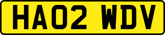 HA02WDV