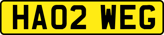 HA02WEG