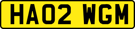 HA02WGM