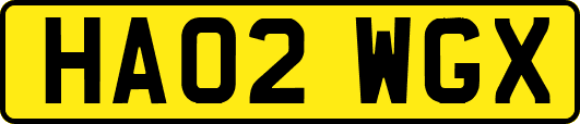 HA02WGX