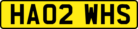 HA02WHS