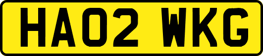 HA02WKG