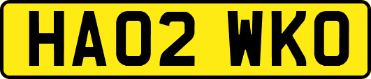 HA02WKO