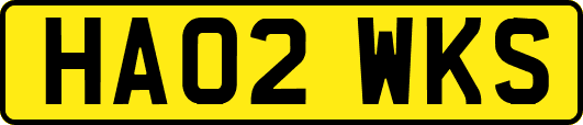 HA02WKS