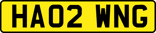 HA02WNG