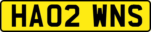 HA02WNS