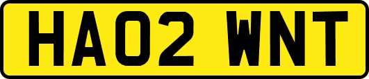 HA02WNT