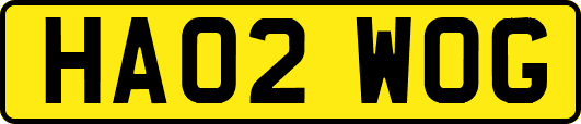 HA02WOG