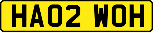HA02WOH