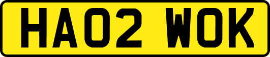 HA02WOK