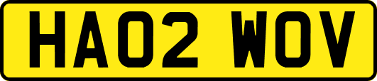 HA02WOV