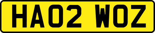 HA02WOZ