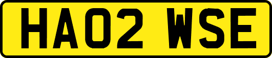 HA02WSE