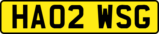 HA02WSG