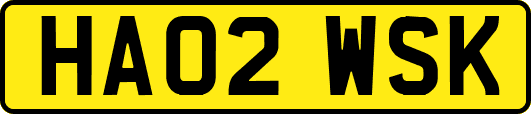 HA02WSK