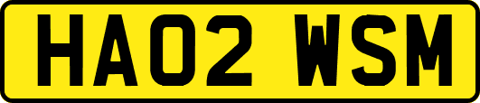 HA02WSM