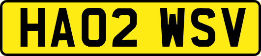 HA02WSV