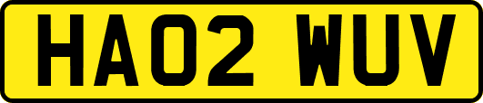 HA02WUV
