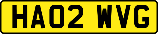 HA02WVG