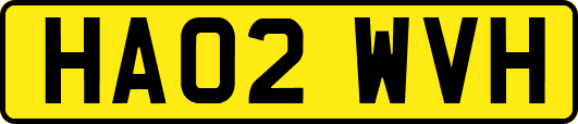 HA02WVH