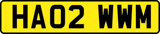 HA02WWM