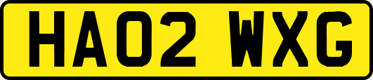 HA02WXG