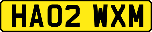 HA02WXM