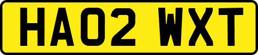 HA02WXT