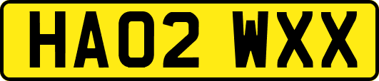 HA02WXX