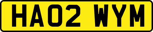 HA02WYM