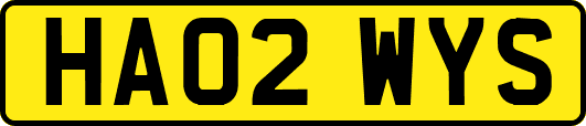 HA02WYS
