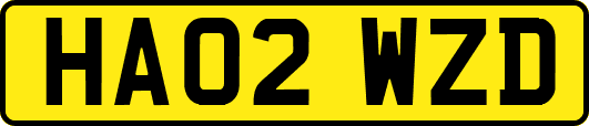 HA02WZD