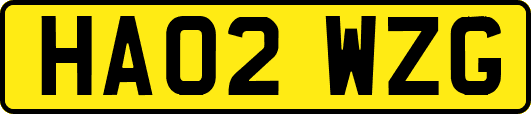 HA02WZG
