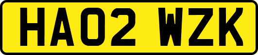 HA02WZK