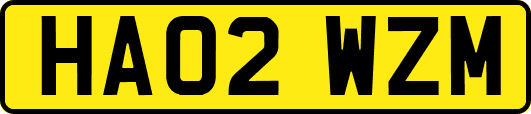 HA02WZM