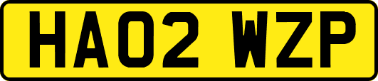 HA02WZP