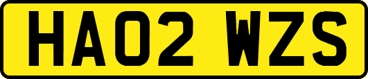 HA02WZS