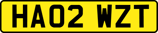 HA02WZT