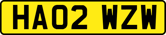 HA02WZW