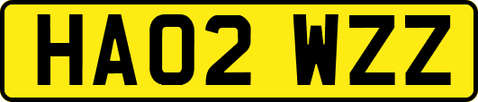HA02WZZ