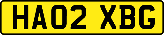 HA02XBG
