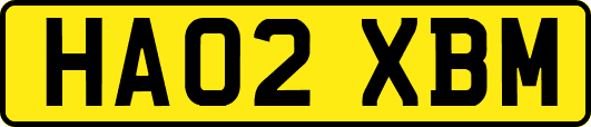 HA02XBM