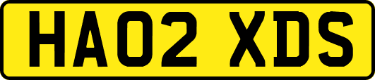 HA02XDS