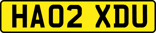 HA02XDU