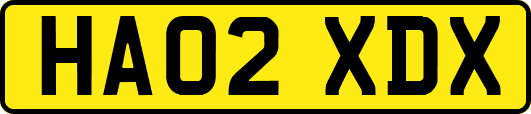 HA02XDX
