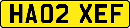 HA02XEF
