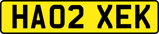 HA02XEK
