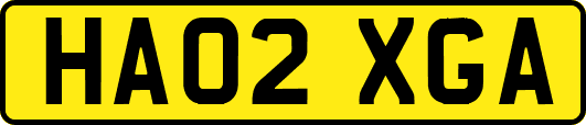 HA02XGA